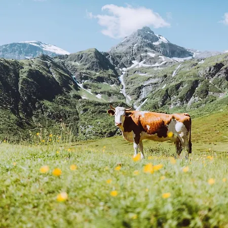 Tauernlife * Schwarzach im Pongau