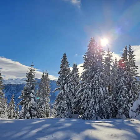 Tauernlife Schwarzach im Pongau