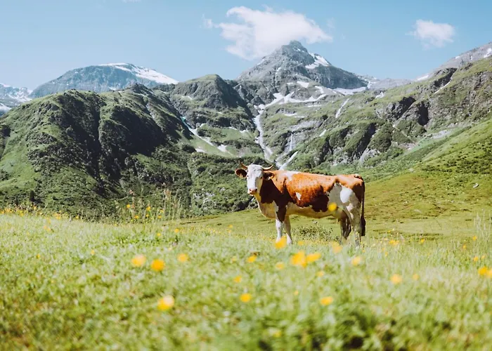 Tauernlife * Schwarzach im Pongau