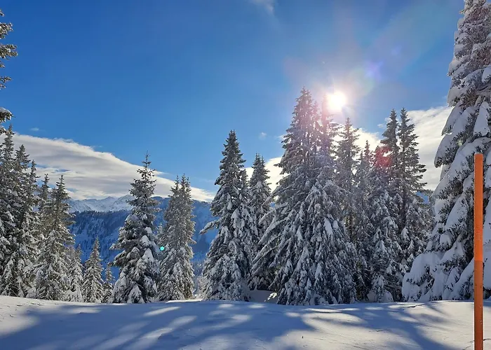 Tauernlife Schwarzach im Pongau
